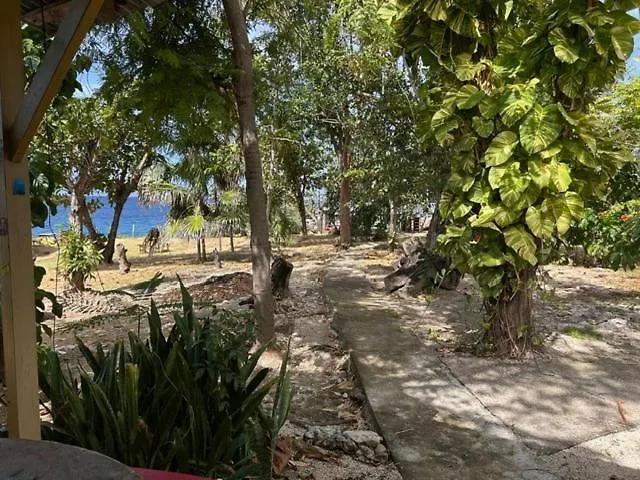 度假村 3Dives Cliffside Rooms Westlands 牙买加